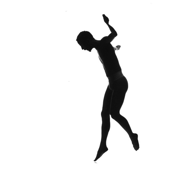 NorrDans logo