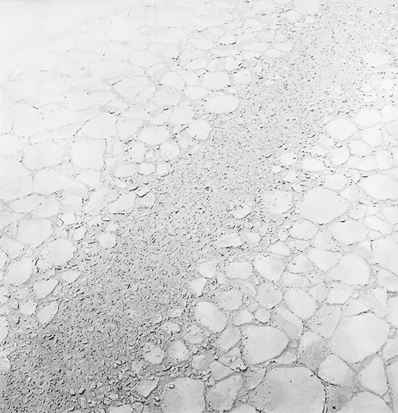 ICE
