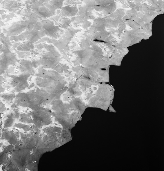 ICE