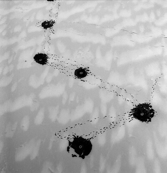 ICE