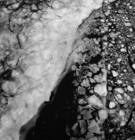 ICE
