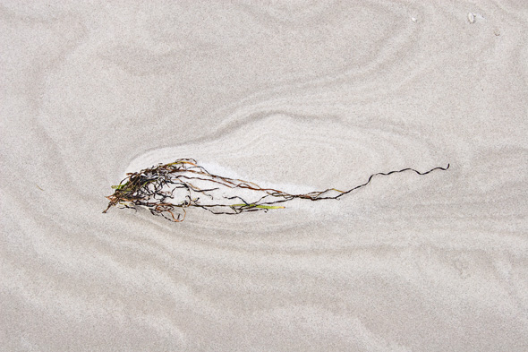 Falsterbo strand
