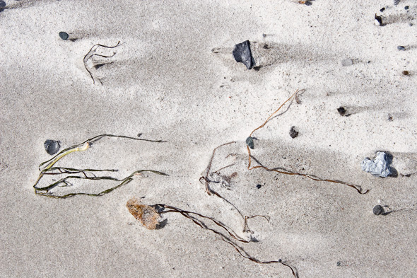 Falsterbo strand
