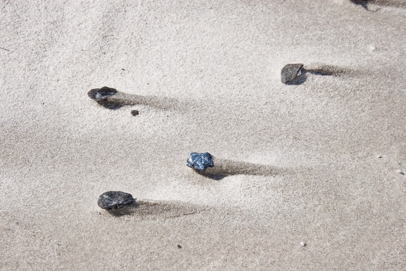 Falsterbo strand