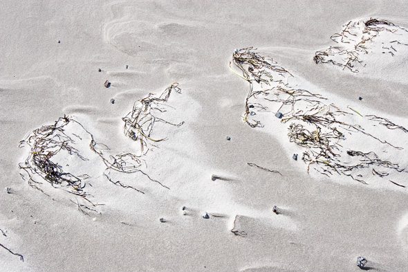 Falsterbo strand