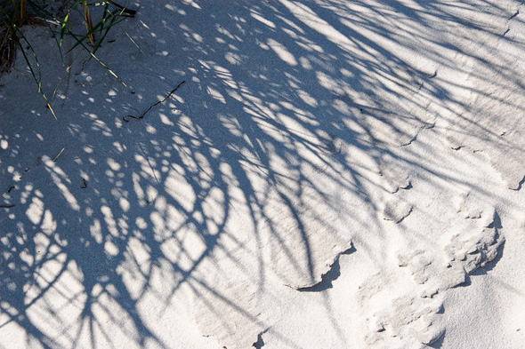 Falsterbo strand 