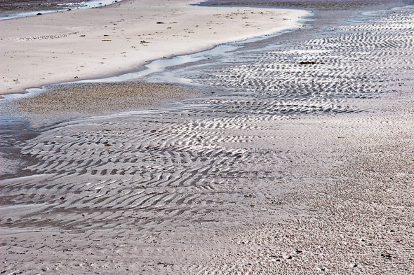 Falsterbo strand