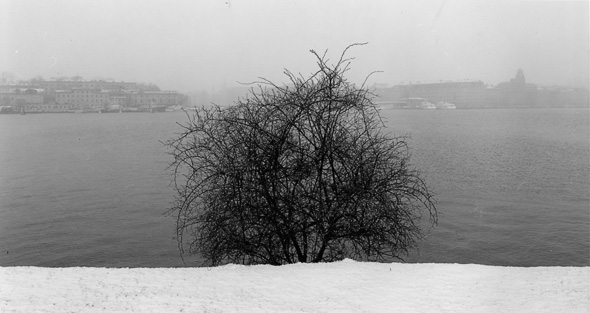 Stockholm waterfronts